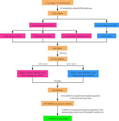 Identification of an Individualized Metabolism Prognostic Signature and Related Therapy Regimens in Early Stage Lung Adenocarcinoma